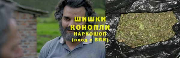 гашик Арсеньев