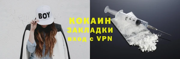 гашик Арсеньев