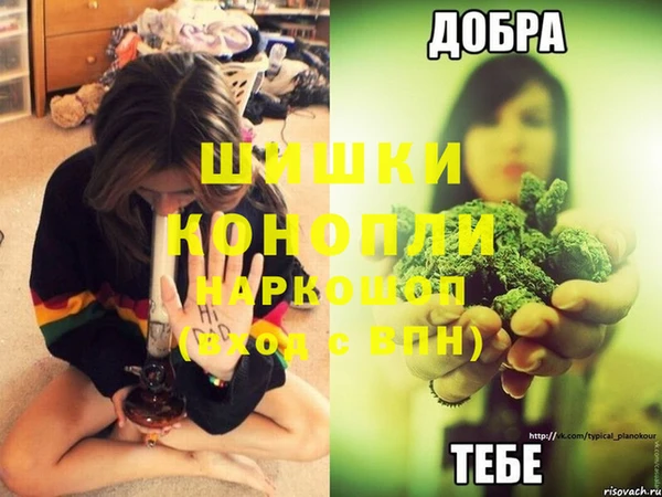гашик Арсеньев