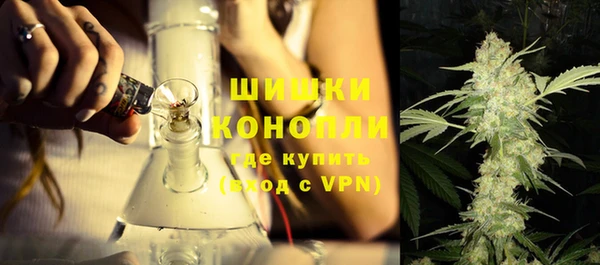 Альфа ПВП Аркадак
