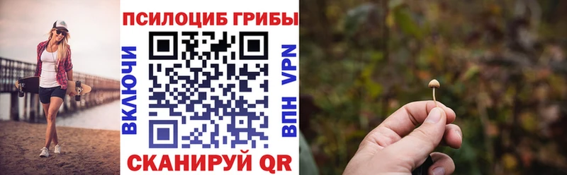 KRAKEN маркетплейс  Мурино  Псилоцибиновые грибы Magic Shrooms 